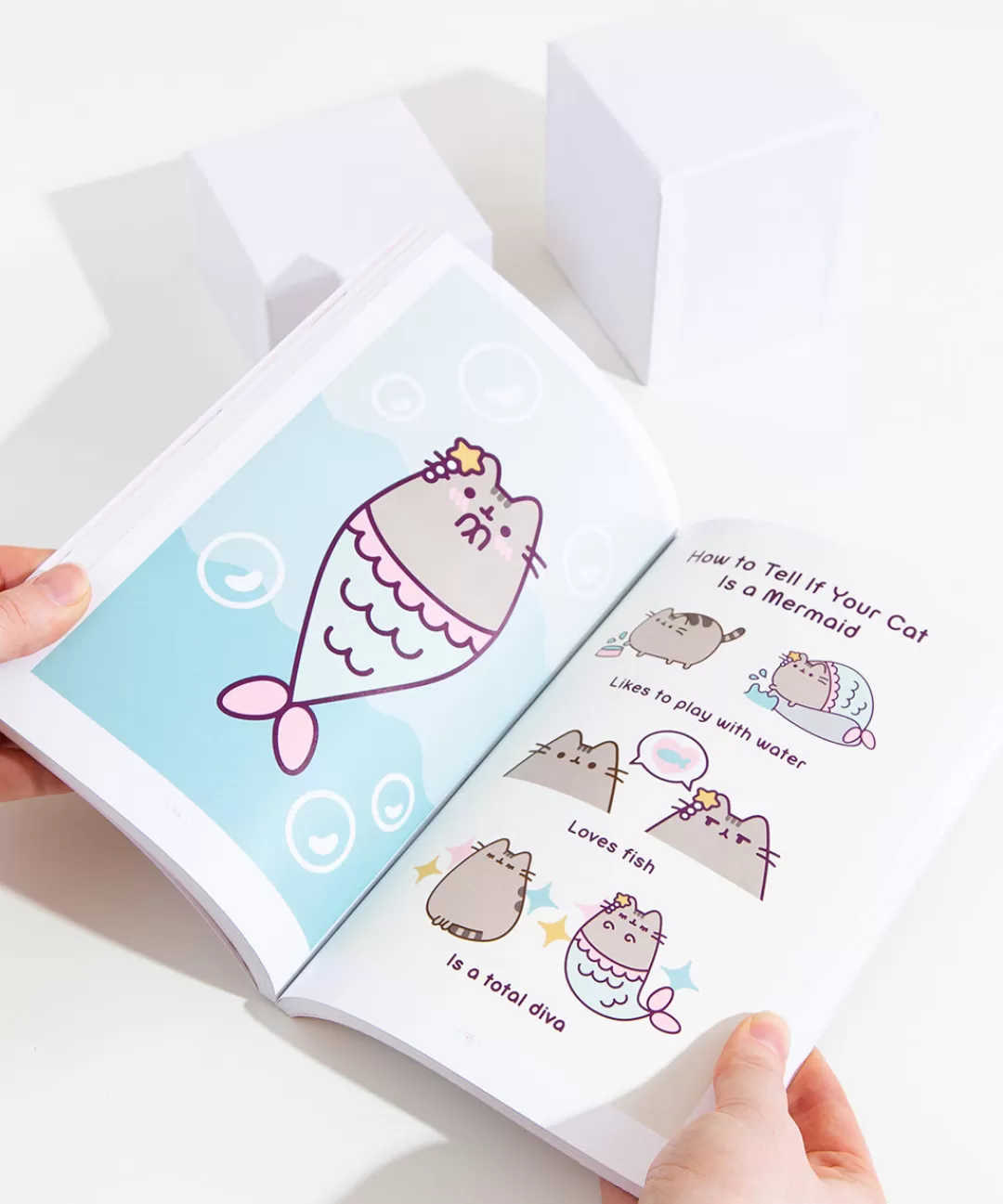 Fashion Simon & Schuster The Many Lives Of Pusheen The Cat